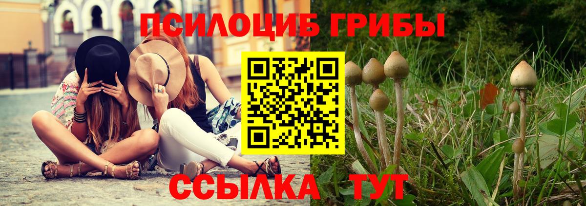 Псилоцибиновые грибы Psilocybe  Галлюциногенные грибы прущие грибы  наркошоп  Вход с VPN  Беслан 